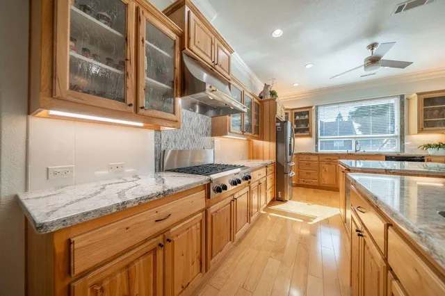 a view of a garden with plants and large trees