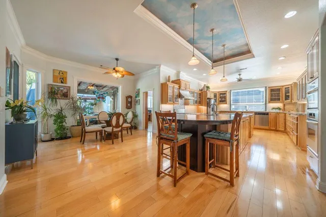 a view of a white house with a yard and a large tree