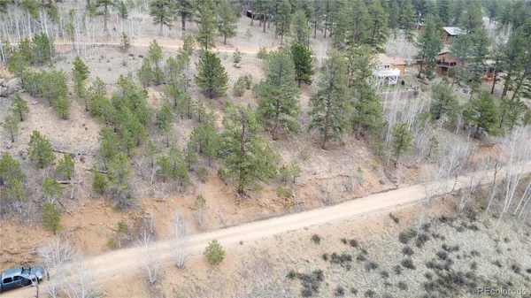 a view of a dry yard with trees in the background