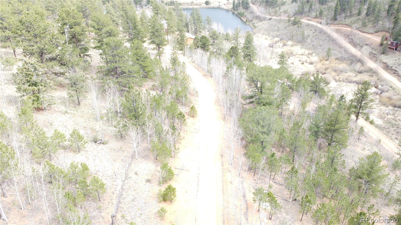 397 Neish Street Bailey, CO 80421 - Photo 8 of 13 a close up of a plant with white wall