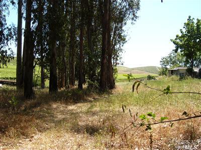 2840 Stony Point Road Petaluma, CA 94952 - Photo 1 of 1 a view of a yard with swimming pool