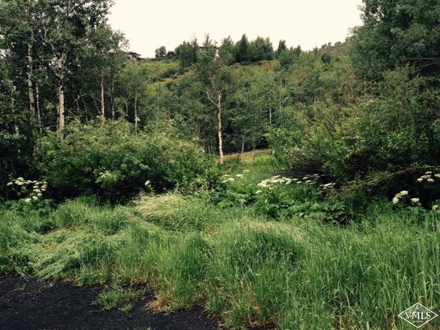 738 Sandy Lane Vail, CO 81657 - Photo 2 of 2 a view of a lush green forest with lots of trees