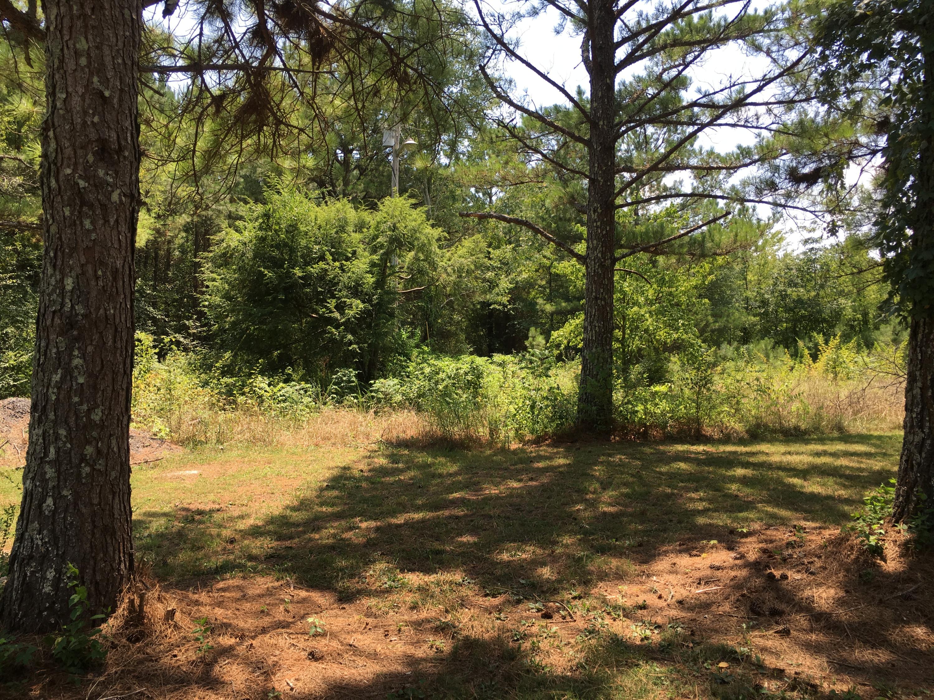 Lot 23 Lakehaven Circle Decatur, TN 37322 - Photo 5 of 5 5