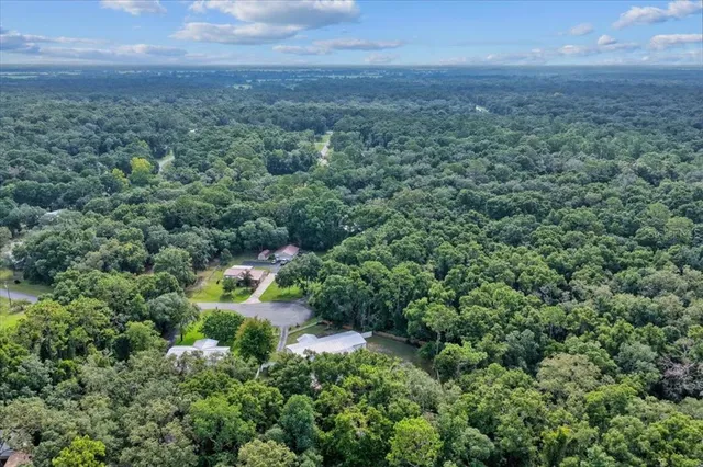 a view of a forest with a street