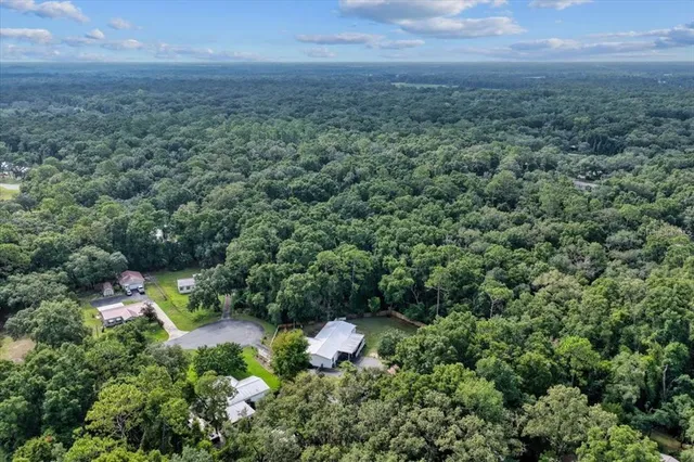 a view of a forest with a houses