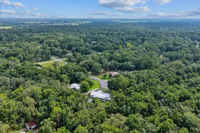 a view of a city with lush green forest