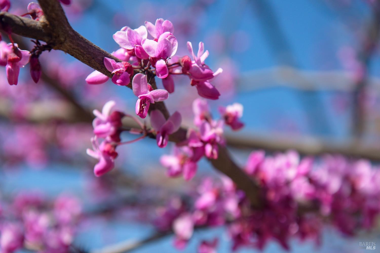 100 Deer Valley Road, Unit 3H San Rafael, CA 94903 - Photo 12 of 14