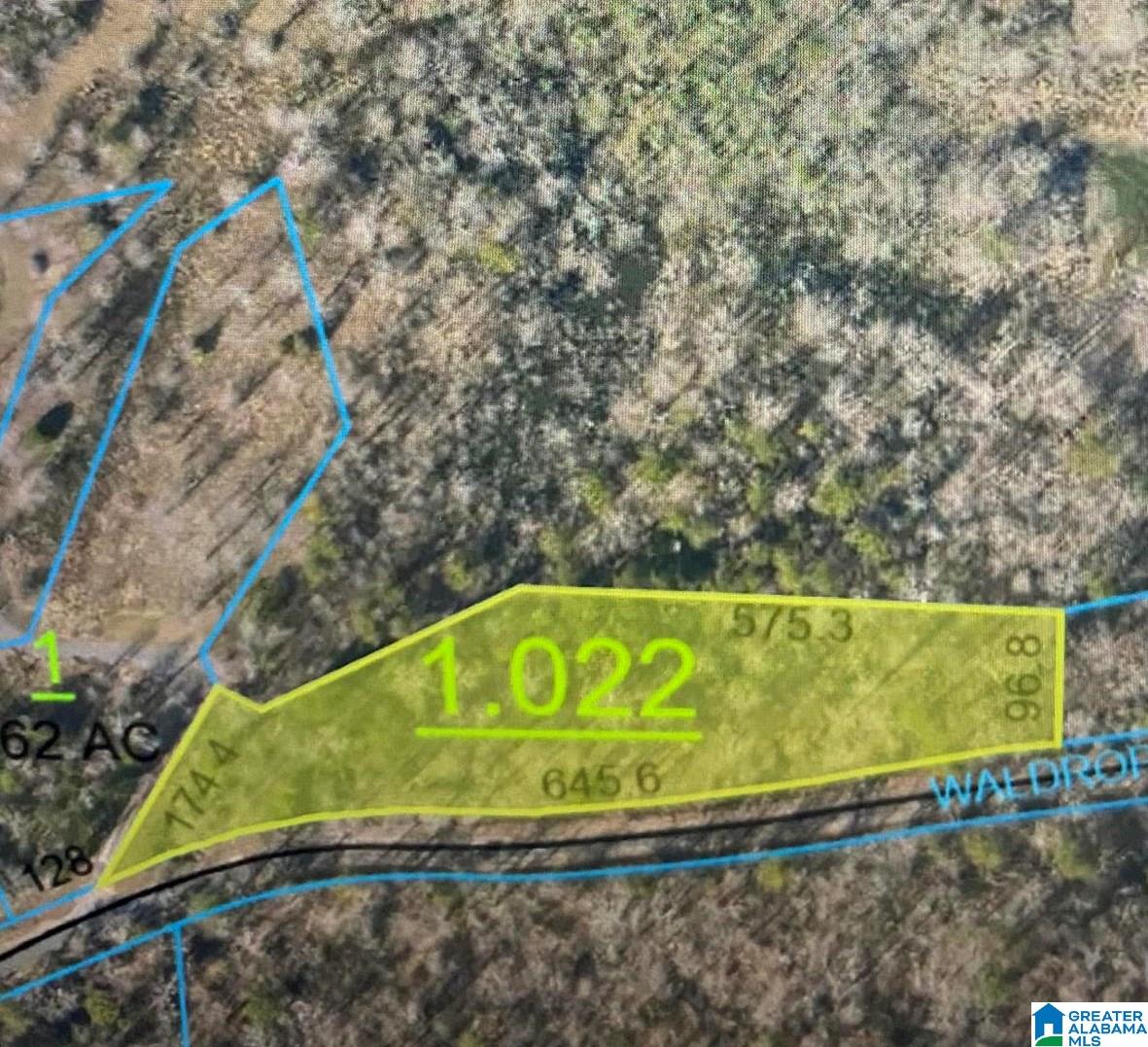 0 Waldrop Road Ashville, AL 35953 - Photo 4 of 5