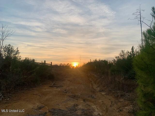 1906 Southeast Wildwood Lane Ruth, MS 39662 - Photo 11 of 19 IMG_2668 (2)