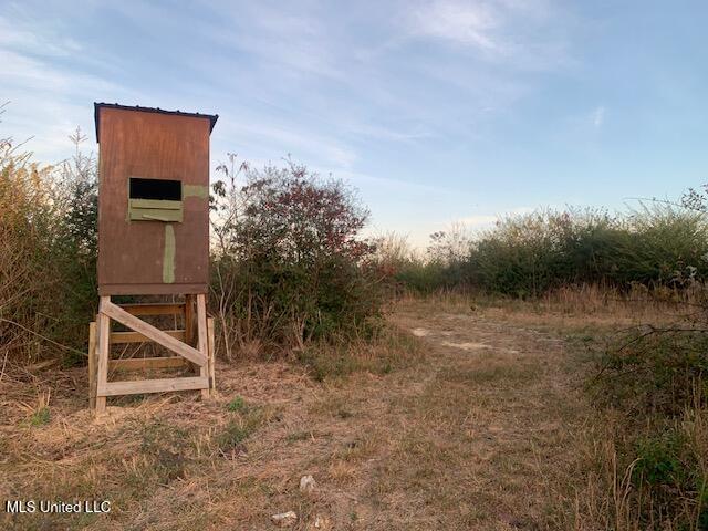 1906 Southeast Wildwood Lane Ruth, MS 39662 - Photo 14 of 19 IMG_2665