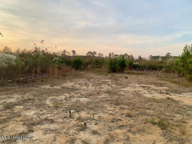 1906 Southeast Wildwood Lane Ruth, MS 39662 - Photo 17 of 19 IMG_2659 (1)