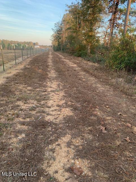 1906 Southeast Wildwood Lane Ruth, MS 39662 - Photo 19 of 19 IMG_2653