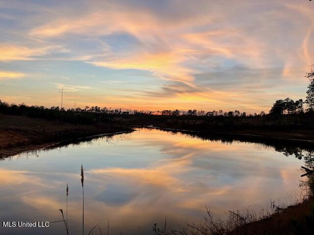 1906 Southeast Wildwood Lane Ruth, MS 39662 - Photo 2 of 19 IMG_3798 (2)