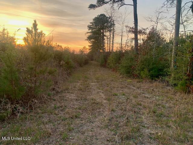1906 Southeast Wildwood Lane Ruth, MS 39662 - Photo 3 of 19 IMG_2678 (3)