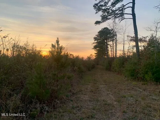 $160,000 | 1906 Southeast Wildwood Lane, Ruth, MS 39662