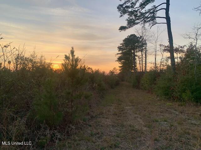 1906 Southeast Wildwood Lane Ruth, MS 39662 - Photo 4 of 19 IMG_2677 (2)
