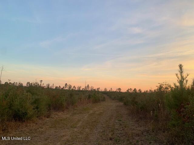 1906 Southeast Wildwood Lane Ruth, MS 39662 - Photo 5 of 19 IMG_2676 (2)