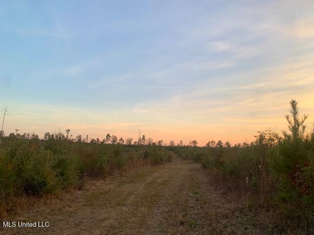 1906 Southeast Wildwood Lane Ruth, MS 39662 - Photo 6 of 19 IMG_2675 (2)