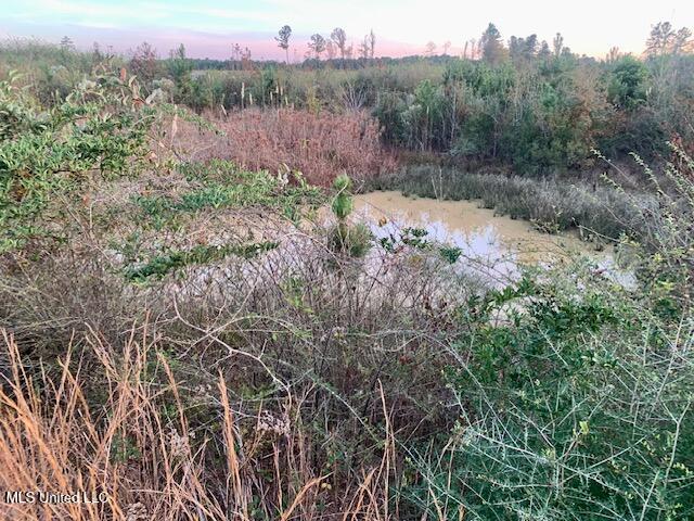 1906 Southeast Wildwood Lane Ruth, MS 39662 - Photo 7 of 19 IMG_2673 (2)