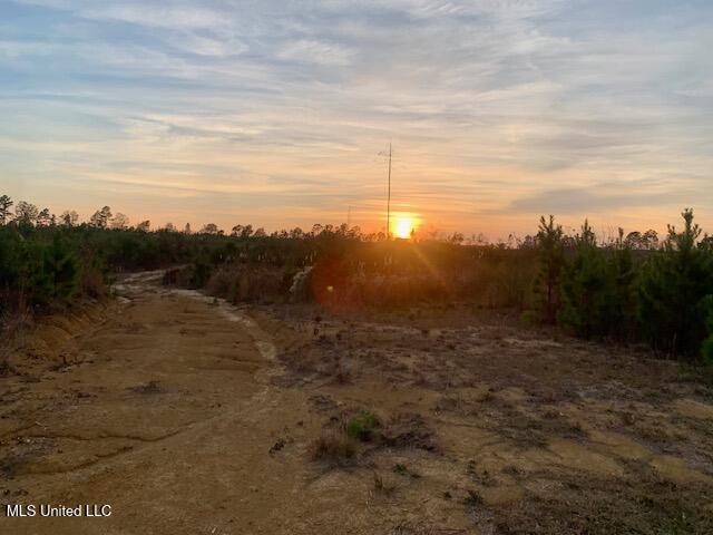 1906 Southeast Wildwood Lane Ruth, MS 39662 - Photo 9 of 19 IMG_2671 (1)