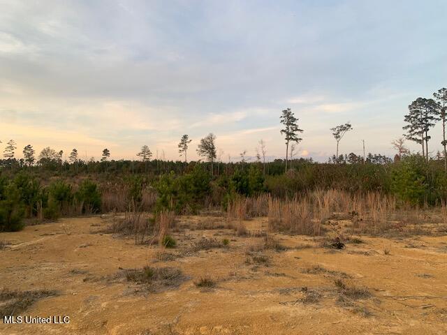1906 Southeast Wildwood Lane Ruth, MS 39662 - Photo 10 of 19 IMG_2669 (1)