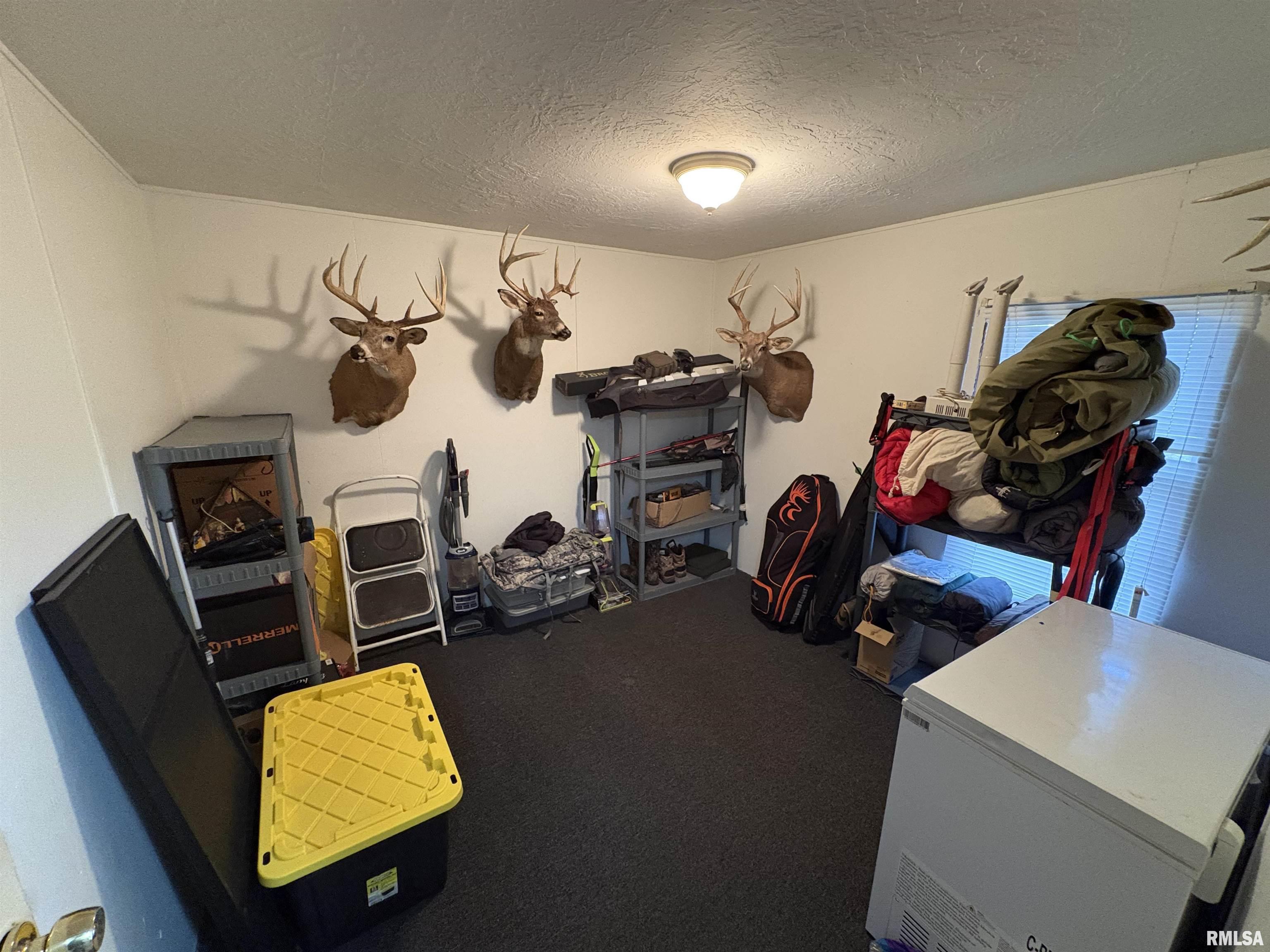 107 North Fulton Street Payson, IL 62360 - Photo 13 of 15