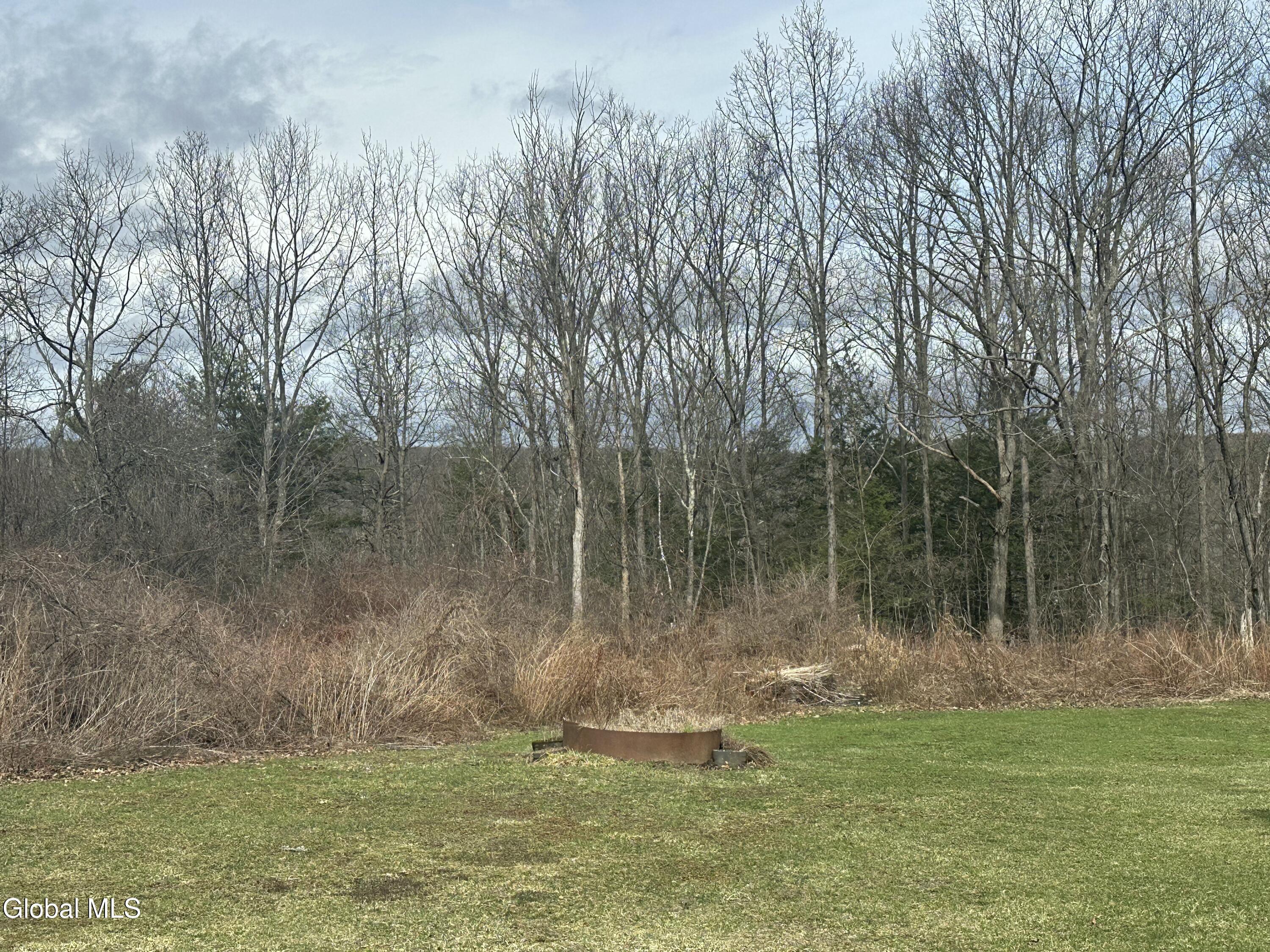 88 Udell Road Westerlo, NY 12193 - Photo 12 of 13 IMG_0618