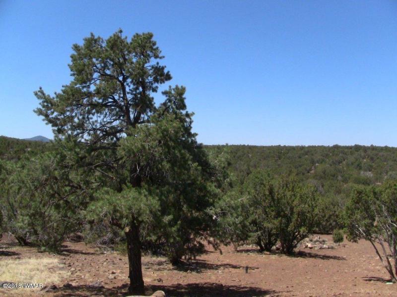 21-t111n 21-t111n R24e Tamarron Ranch, Unit 9 Concho, AZ 85924 - Photo 2 of 3