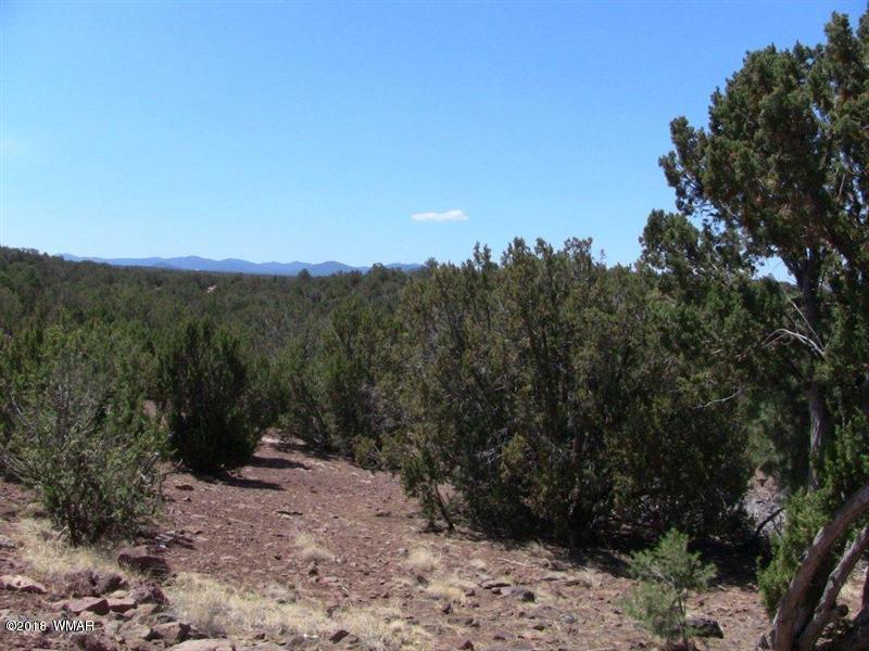 21-t111n 21-t111n R24e Tamarron Ranch, Unit 9 Concho, AZ 85924 - Photo 3 of 3
