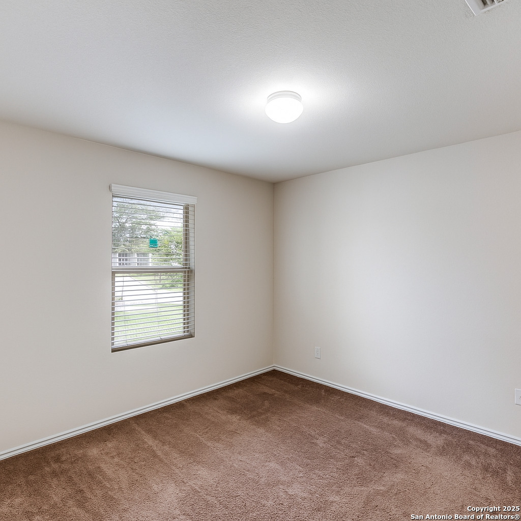 445 Red Morganite Trail Buda, TX 78610 - Photo 19 of 26