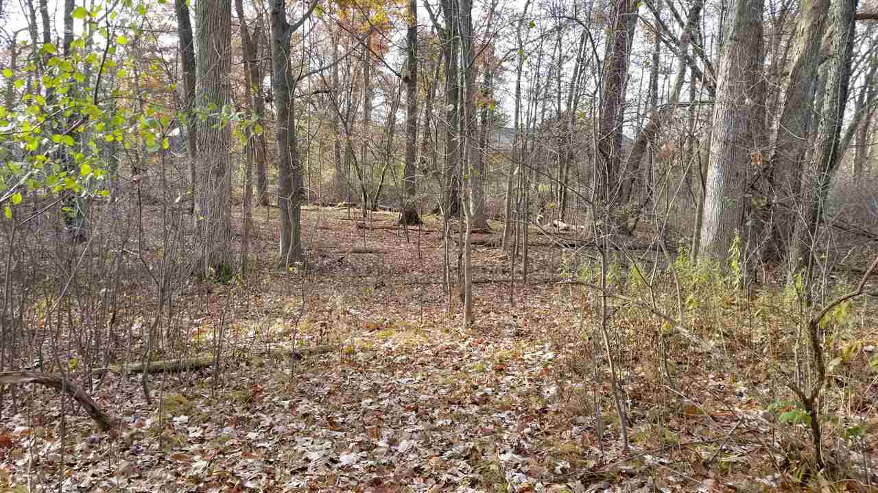 545 Whims Lane Rochester, MI 48306 - Photo 29 of 31 Backyard/Land