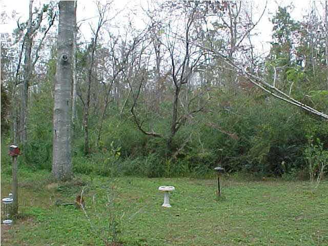 1399 Wishbone Road Cantonment, FL 32533 - Photo 4 of 18 ALL THIS COULD BE YOURS...5 ACRES, POOL, HOT TUB, YOU AND THE STARS