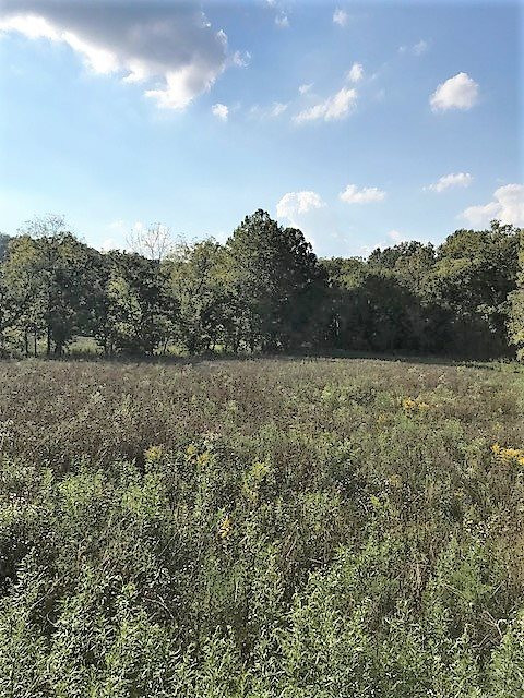 103-acres Sipple Road Dry Ridge, KY 41035 - Photo 6 of 21