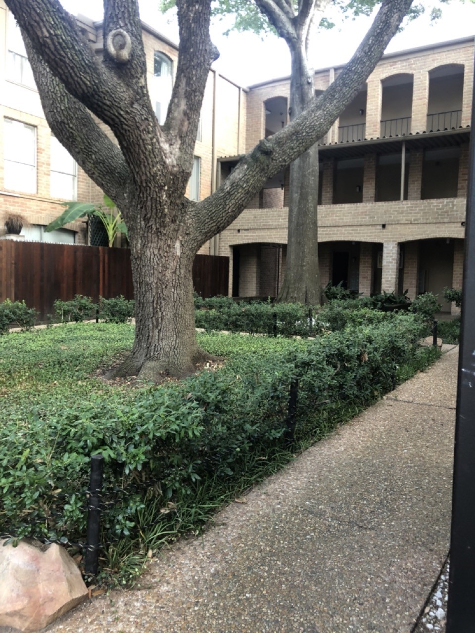 4641 Wild Indigo Street, Unit 439 Houston, TX 77027 - Photo 1 of 10 a front view of a house with a yard