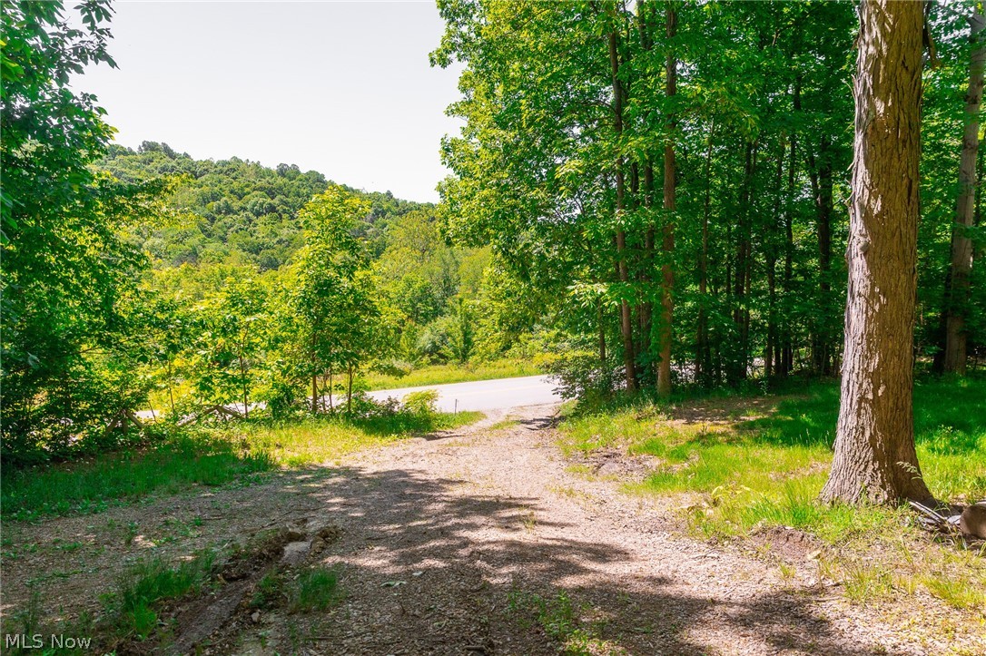 6257 Caddy Road Southwest Bowerston, OH 44695 - Photo 12 of 44