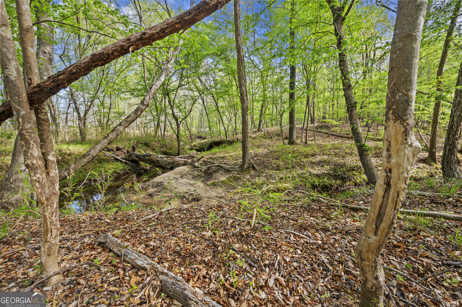 951 Tucker Road Sparta, GA 31087 - Photo 31 of 43