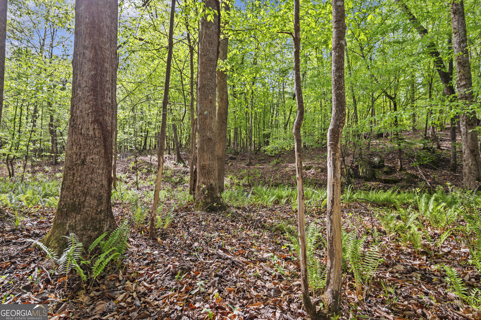 951 Tucker Road Sparta, GA 31087 - Photo 32 of 43