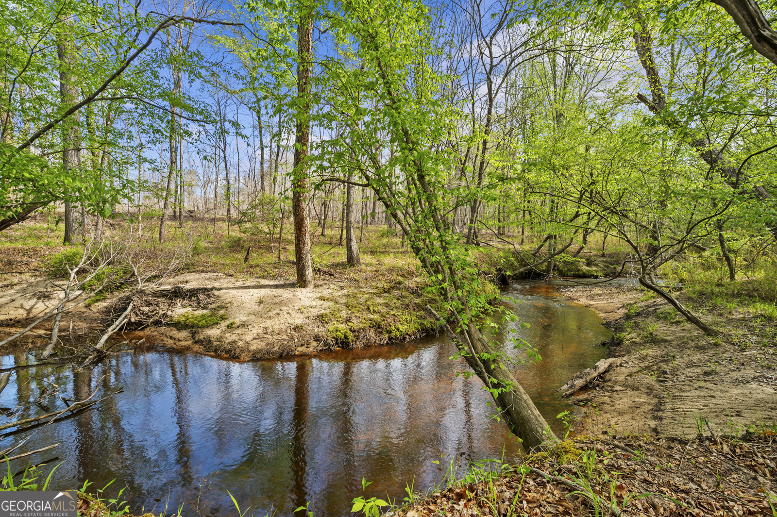 951 Tucker Road Sparta, GA 31087 - Photo 33 of 43