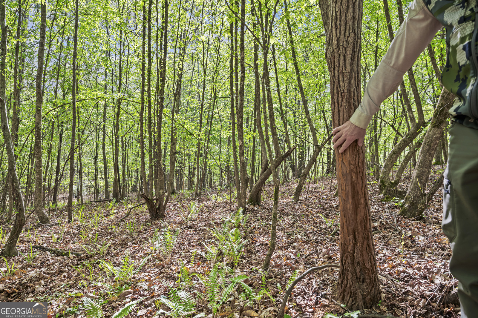 951 Tucker Road Sparta, GA 31087 - Photo 35 of 43