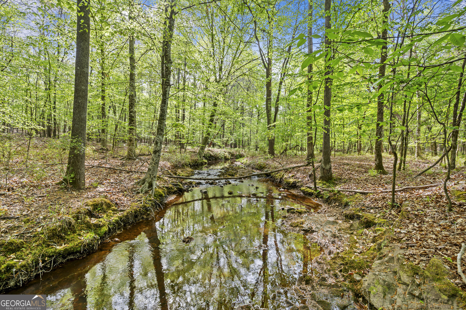 951 Tucker Road Sparta, GA 31087 - Photo 36 of 43
