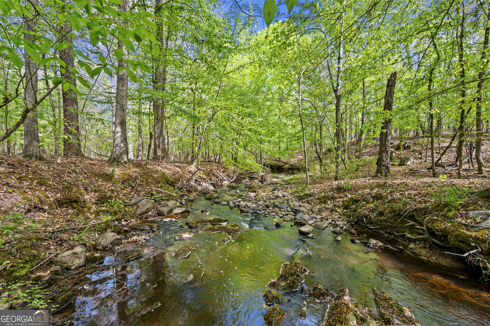 951 Tucker Road Sparta, GA 31087 - Photo 37 of 43