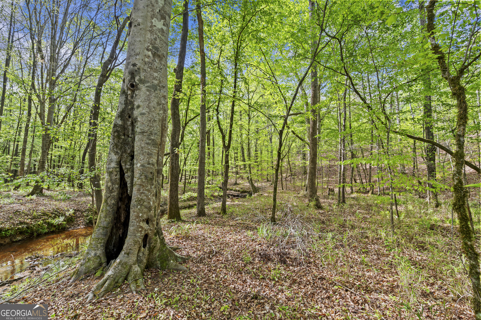 951 Tucker Road Sparta, GA 31087 - Photo 38 of 43