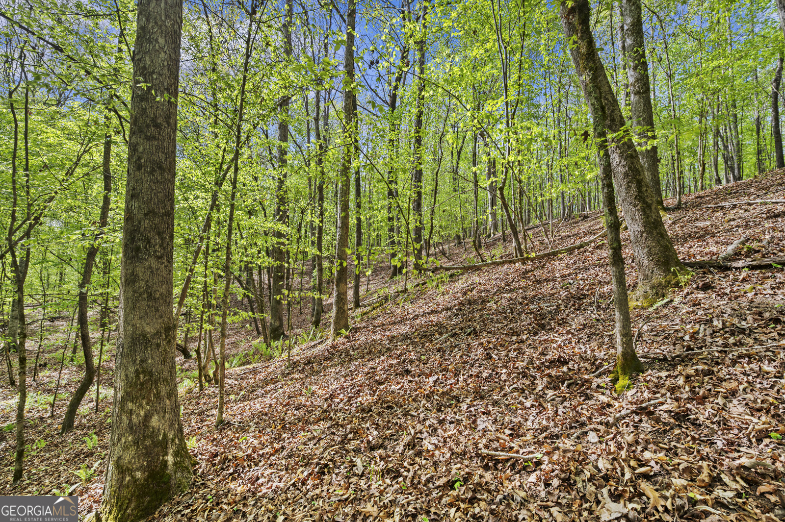 951 Tucker Road Sparta, GA 31087 - Photo 39 of 43