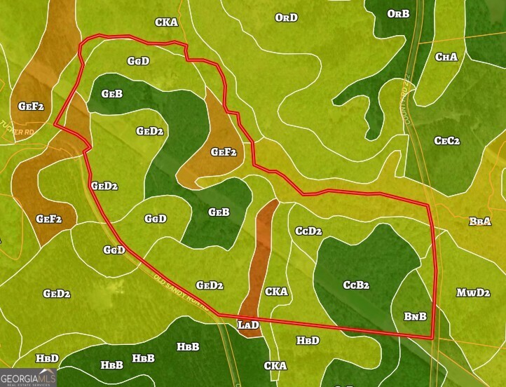 951 Tucker Road Sparta, GA 31087 - Photo 42 of 43