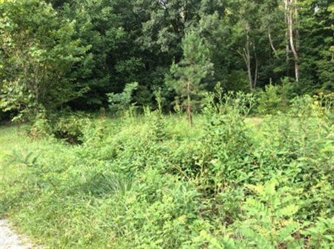 9999 Radford Hollow Road Berea, KY 40403 - Photo 12 of 17 Photo 12