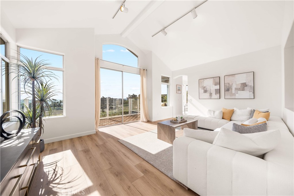 34152 Cambridge Road Dana Point, CA 92629 - Photo 24 of 70 a living room with furniture and a large window