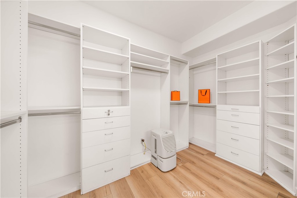 34152 Cambridge Road Dana Point, CA 92629 - Photo 51 of 70 a view of walk in closet with empty racks