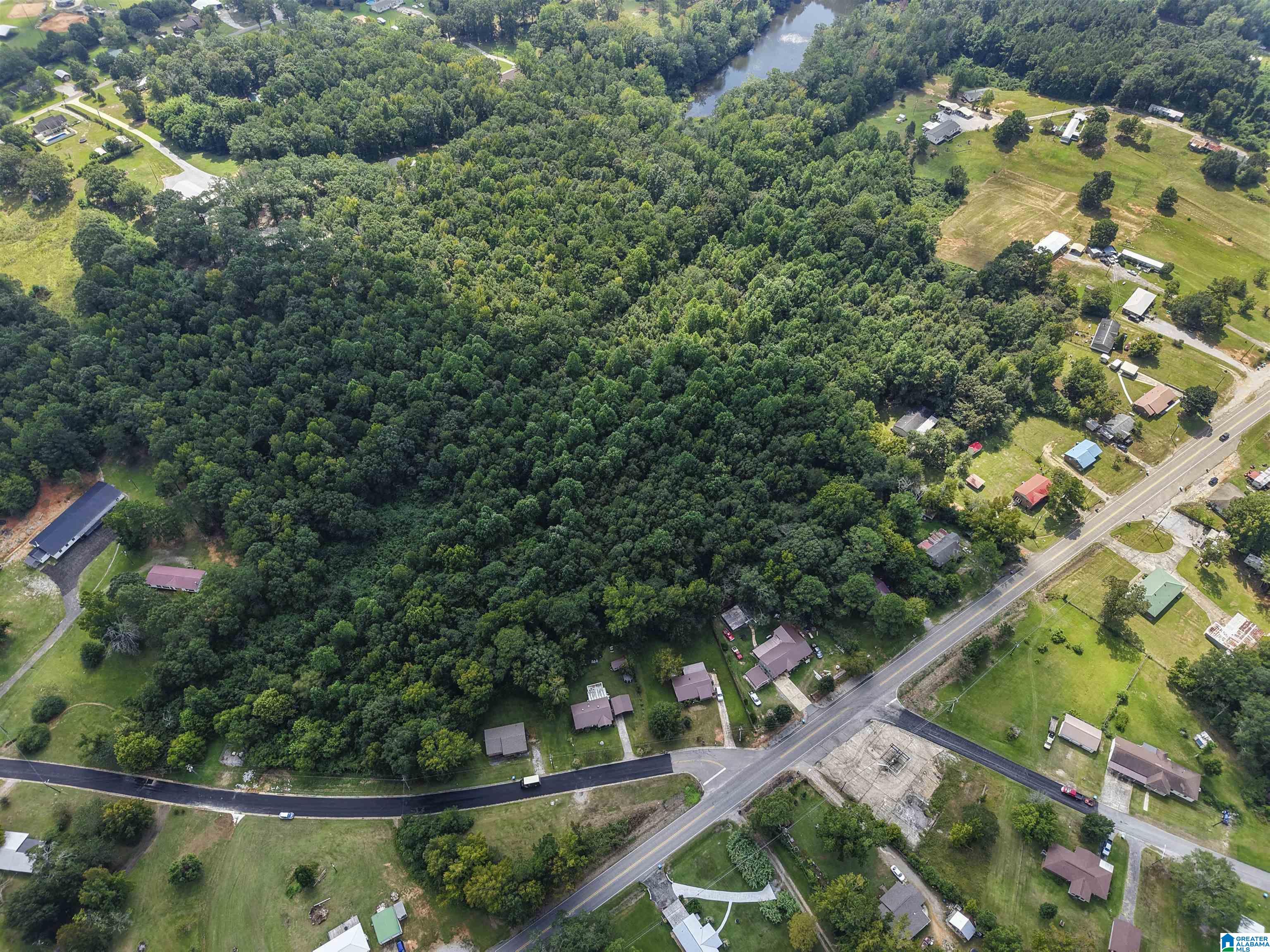 0 Sycamore Street, Unit 1 Jemison, AL 35085 - Photo 22 of 25