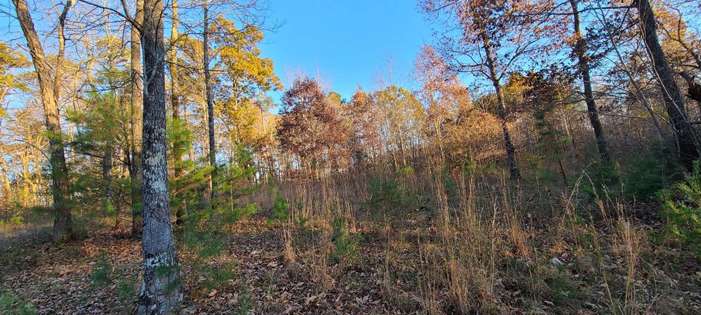 Lot 306 Quarles Road Rocky Face, GA 30740 - Photo 8 of 9
