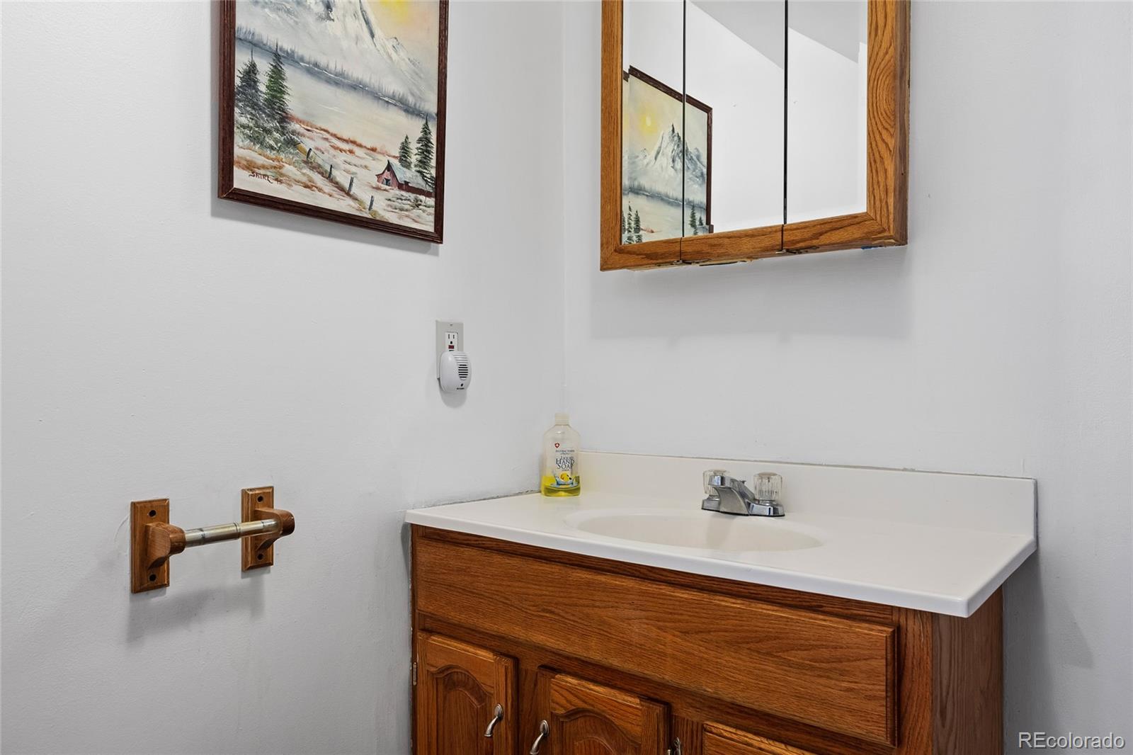 1729 Crow Valley Road Bailey, CO 80421 - Photo 46 of 49